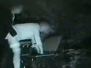 Getting Fucked in the Lush Greenery of Japan's XXX Porn Capital, Tokyo