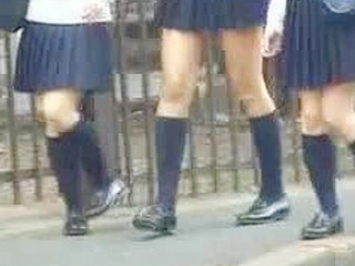 Fucking a Strange Nippon 'Studentgirl' on a Public Bus: Her Life is Forever Changed